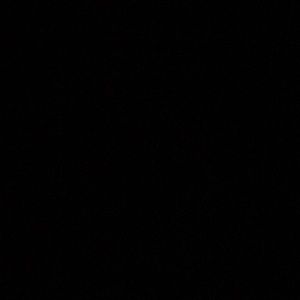 Meet your Posher, Loren